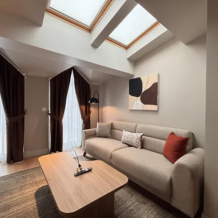 Skylit 1Br With Terrace Near Galataport