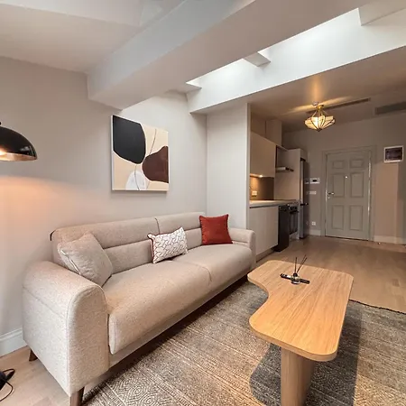 Skylit 1Br With Terrace Near Galataport Διαμέρισμα Κωνσταντινούπολη