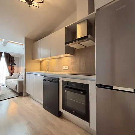 Διαμέρισμα Skylit 1Br With Terrace Near Galataport Κωνσταντινούπολη