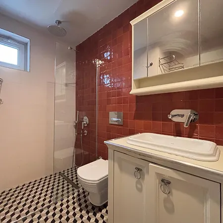 Skylit 1Br With Terrace Near Galataport Διαμέρισμα *